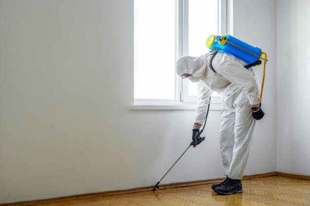 Best Pest Removal Services  in Crooksville, OH